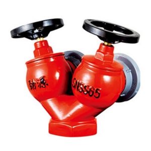 Double outlet indoor fire hydrant