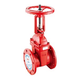 Flange rising stem gate valve
