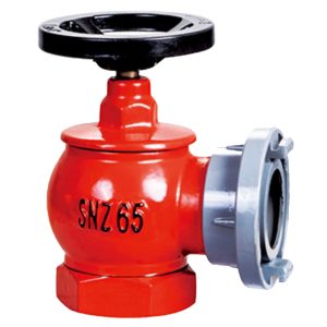Indoor rotating fire hydrant