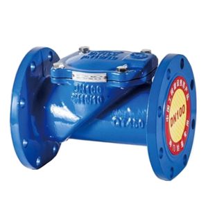 Rubber flap check valve