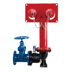 Wall mounted fire pump adapter